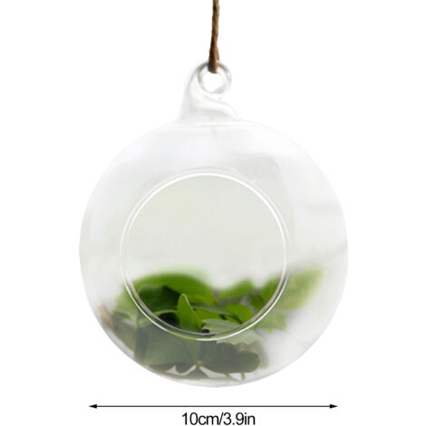 Terrarium Suspendu en Verre Borosilicate - 3 Tailles (6cm/8cm/10cm) - 1 Pièce - Transparent pour Plantes