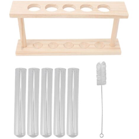 Terrarium transparent à 5 tubes à essai pour plantes, avec support en bois et porte-plantes pour observer leur croissance.