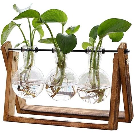 Terrarium verre avec support bois et 3 bulbes, vase plantes hydroponiques décoration maison bureau