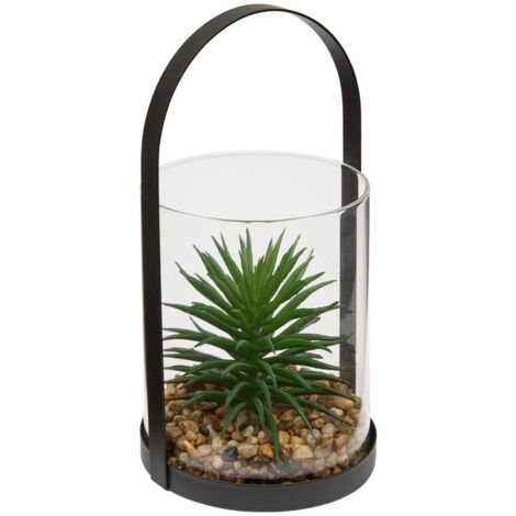 Terrarium Wilo 11x10cm -