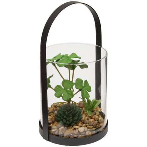 Terrarium Wilo 11x10cm -