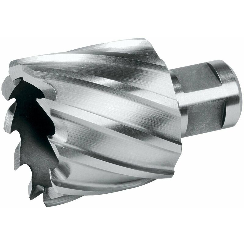 

Ruko - TERRAX 108218TX - BROCA HUECA HSS VÁSTAGO WELDON PROFUNDIDAD DE CORTE 30 MM (Ø 18 MM)