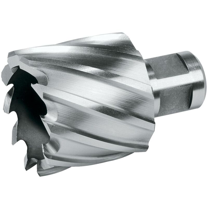 

Ruko - TERRAX 108226TX - Broca hueca HSS vástago Weldon profundidad de corte 30 mm (Ø 26 mm)