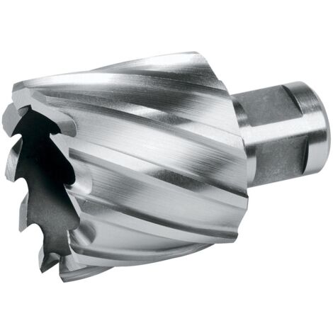 TERRAX by RUKO Kernbohrer HSS mit Weldonschaft (3/4") Schnitttiefe 30,0 mm Ø 20,0 mm - 108220TX