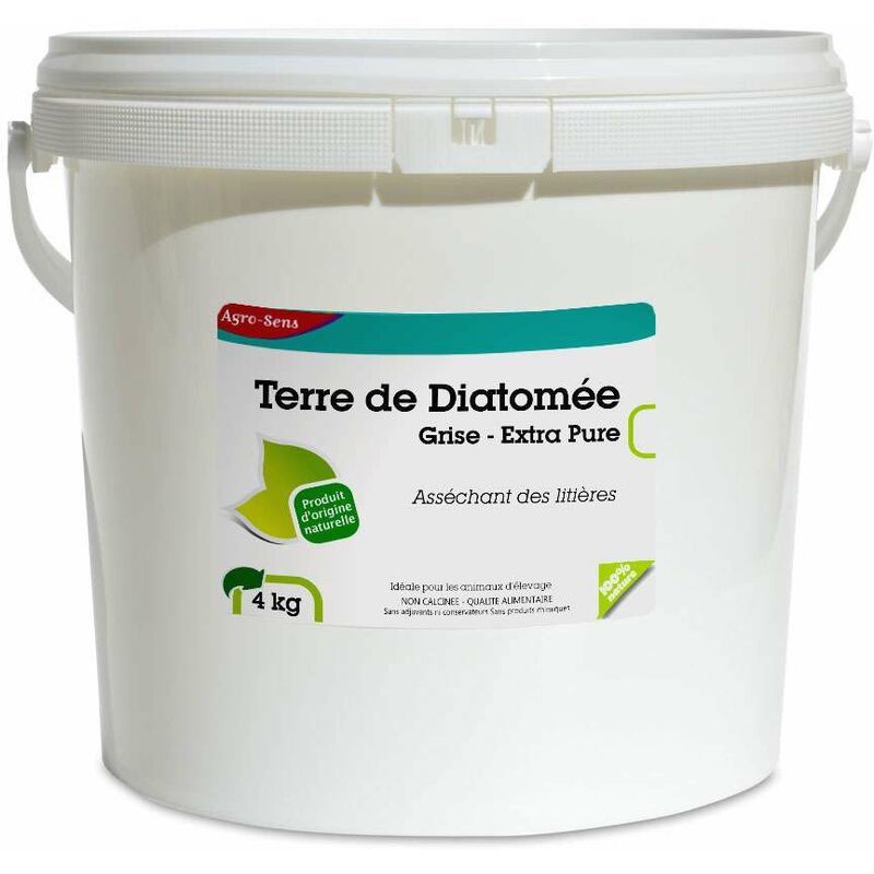 Terre Diatomée Diatom