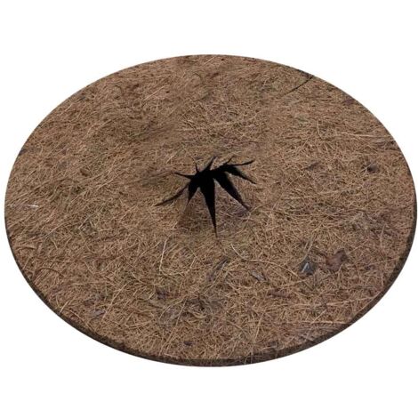 TERRE JARDIN - Conjunto de 2 discos de mantillo de fibras de coco naturales Marrón 30 cm