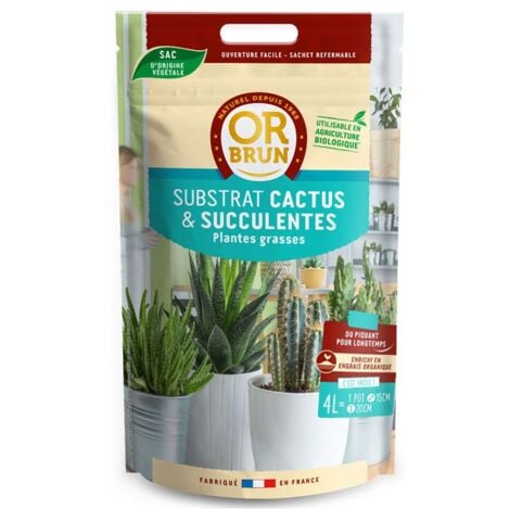 Terreau Cactées - 4 L - Or Brun