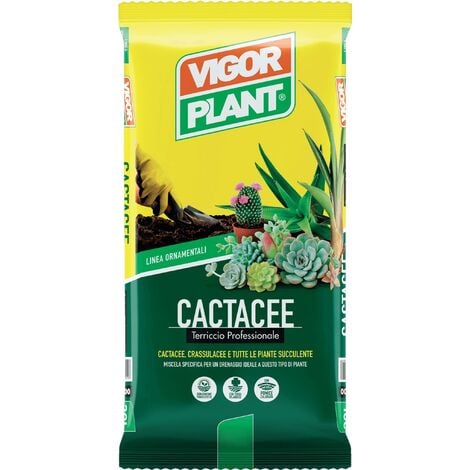 Terriccio Cactacee 5 litri Vigorplant