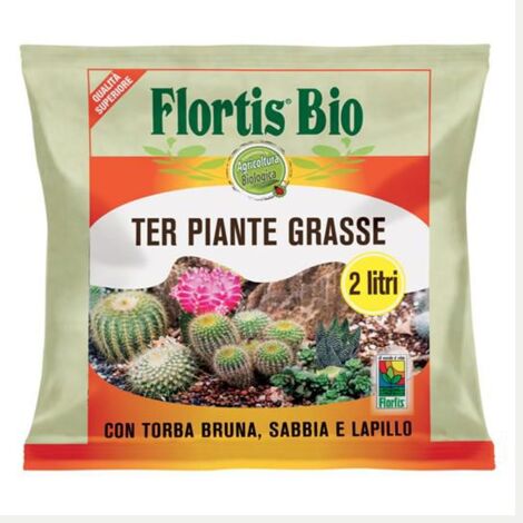 TERRICCIO PIANTE GRASSE 2L