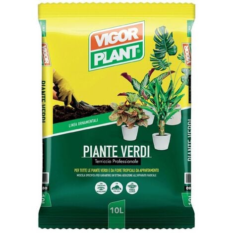 Terriccio Piante Verdi 10 litri Vigorplant