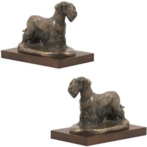 Terrier tchèque, Cesky Terrier - statuette de chien, figurine de bureau, trophée pour une exposition canine par Art-Dog