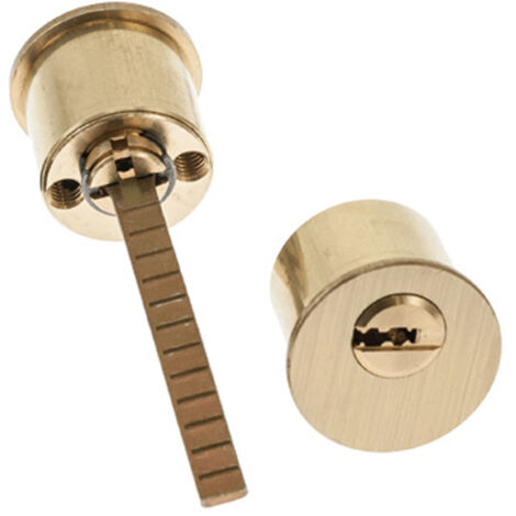 Tesa Assa Abloy 03010125 Tesa Security T6TS 40 Short Cam Rundzylinder, mehrfarbig