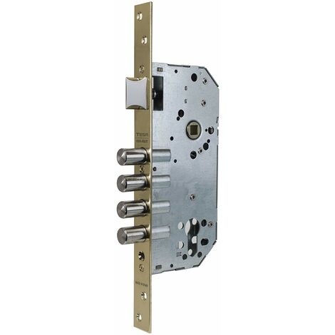 Tesa Assa Abloy 1 Tesa R100B E50 Senza CIL.AE, Smaltato