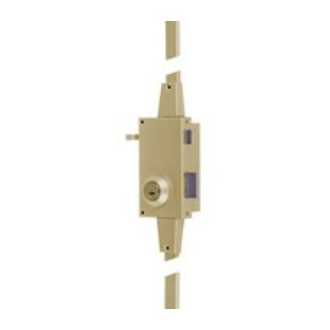 Tesa Assa Abloy – Serrure multipoint en applique TS 300 – 3 points de verrouillage – Axe 53mm – Acier doré – 5 clés incluses – Protection anti-perçage - TS30T6DAE