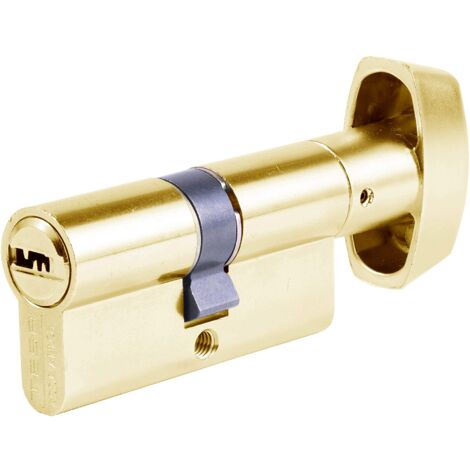 Tesa Assa Abloy T65B3040L Cilindro di sicurezza standard T60, placcato in ottone, chiave 30 x 40 mm, pulsante a camma lungo