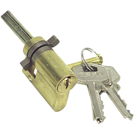 Tesa Assa Abloy,552000LT,Zylinder of Standard Security TE5,Ovalprofil,vernickelt