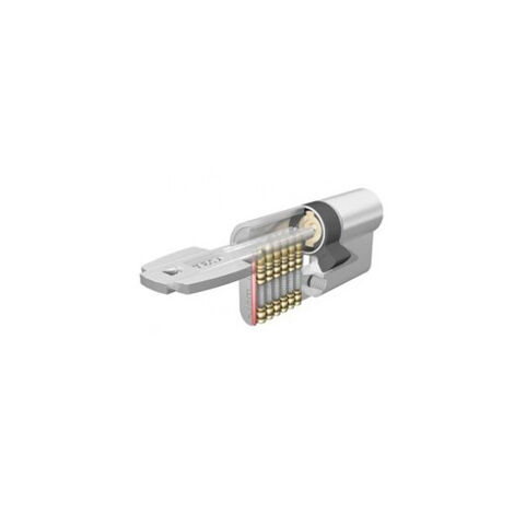 TESA BOMBILLO SEGURIDAD T60 30X30 LATON MED.CILINDRO 60X60 ACABADOS LATON