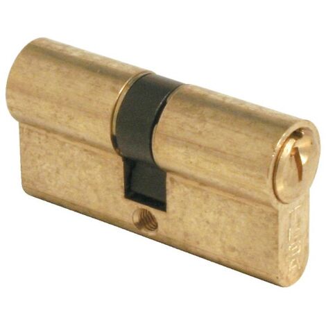 Tesa – Cylindre de serrure double TE5 30 X 100 mm – Laiton nickelé – 3 clés – Sécurité renforcée pour installation facile