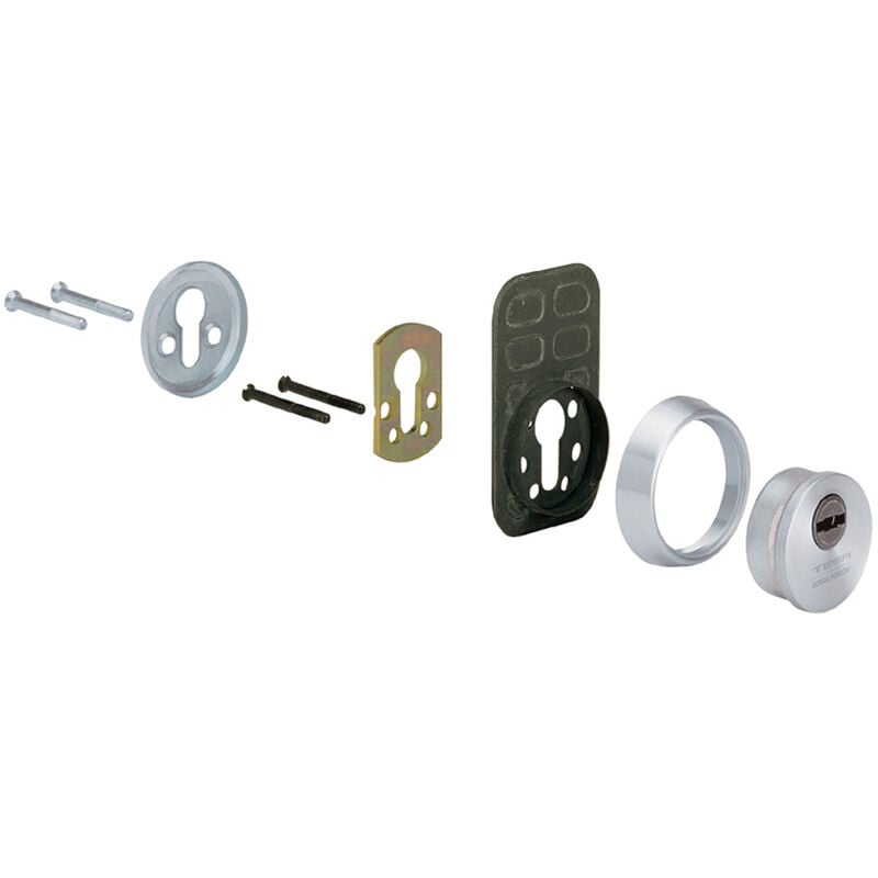 Bouclier De Sécurité Tesa r. e 800 Laiton Poli Pvd