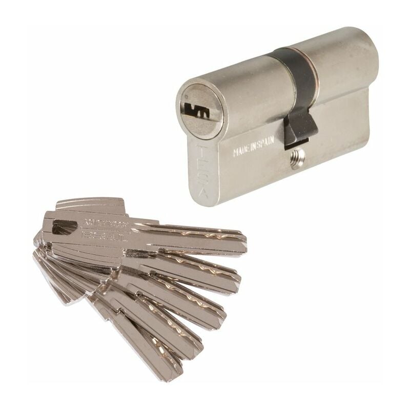 Tesa Assa Abloy - Cylindre 2 entrées varié nickelé - 30 x 30 mm - T60 - Tesa