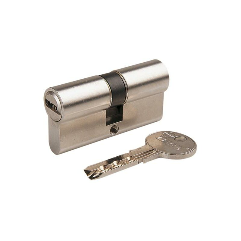 Tesa Assa Abloy - Cilindro T-60 - talla Latonado. 60 mm. 30-30