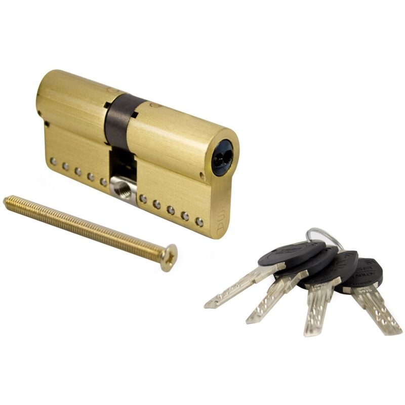 Cylindre Tesa Tk100 -80 Laiton (40X40) - Cylindre tesa TK100 - Cylindre avec clé brevetée non copiable