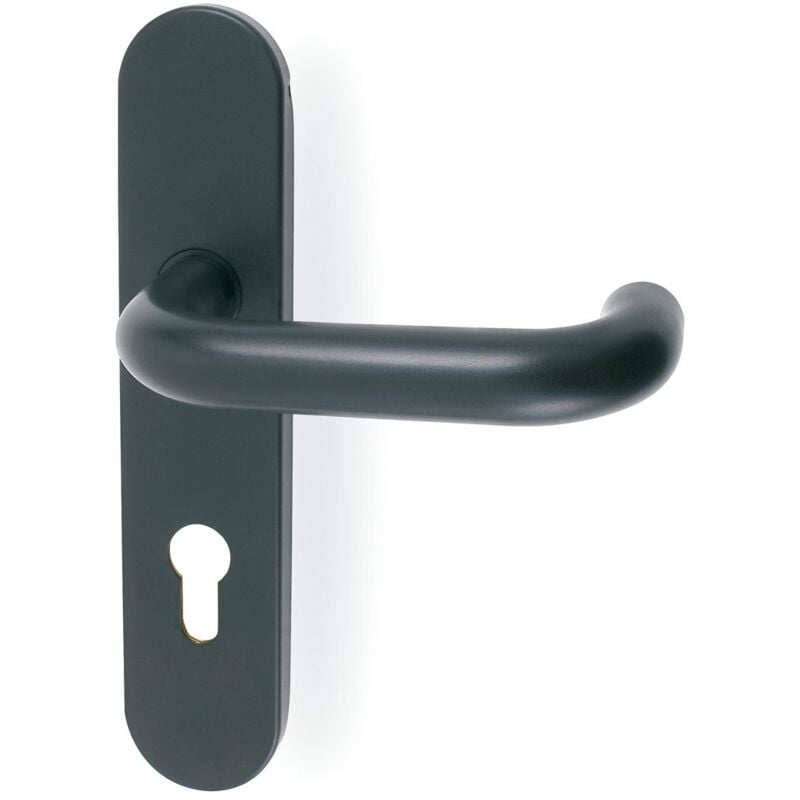 Tesa Assa Abloy - Bouton de poignée anti-panique Sena Tesa contour noir avec trou de serrure
