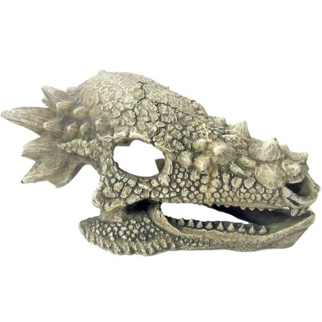 Teschio di Drago 15,3x10x80 cm decorazione per acquari