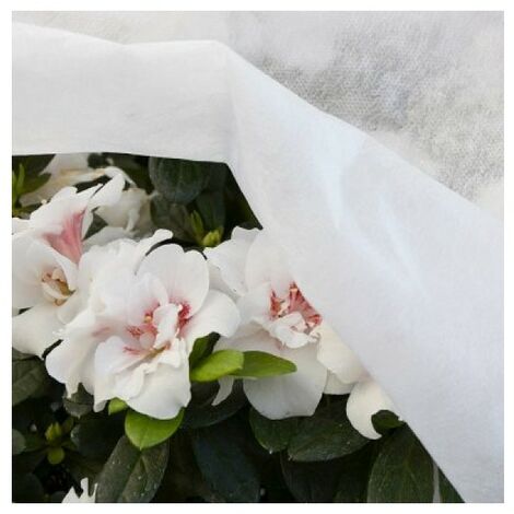 Tessuto TNT Bianco 17gr 1.6x20m