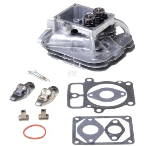Testa cilindro ORIGINALE BRIGGS & STRATTON 84001918