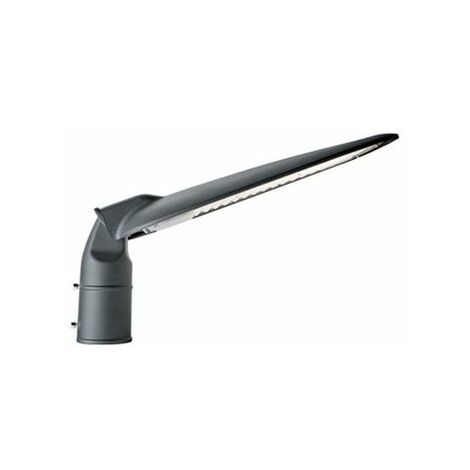 TESTA-PALO LED 50W 3000K