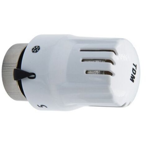 TESTA TERMOSTATICA CON SENSORE A LIQUIDO ECO M30 x 1,5
