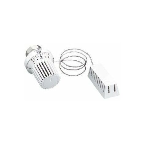 TESTA TERMOSTATICA UNI XH con LAMPADINA REMOTA (5m)