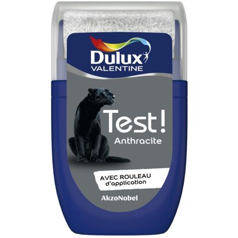 Testeur couleur Anthracite 30 mL - Peinture Dulux Valentine