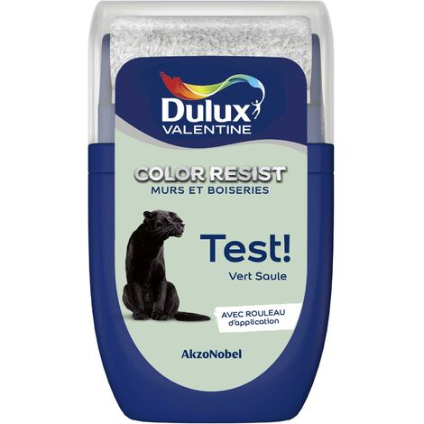 Peinture Couleur - Color Resist Murs & Boiseries - Dulux Valentine