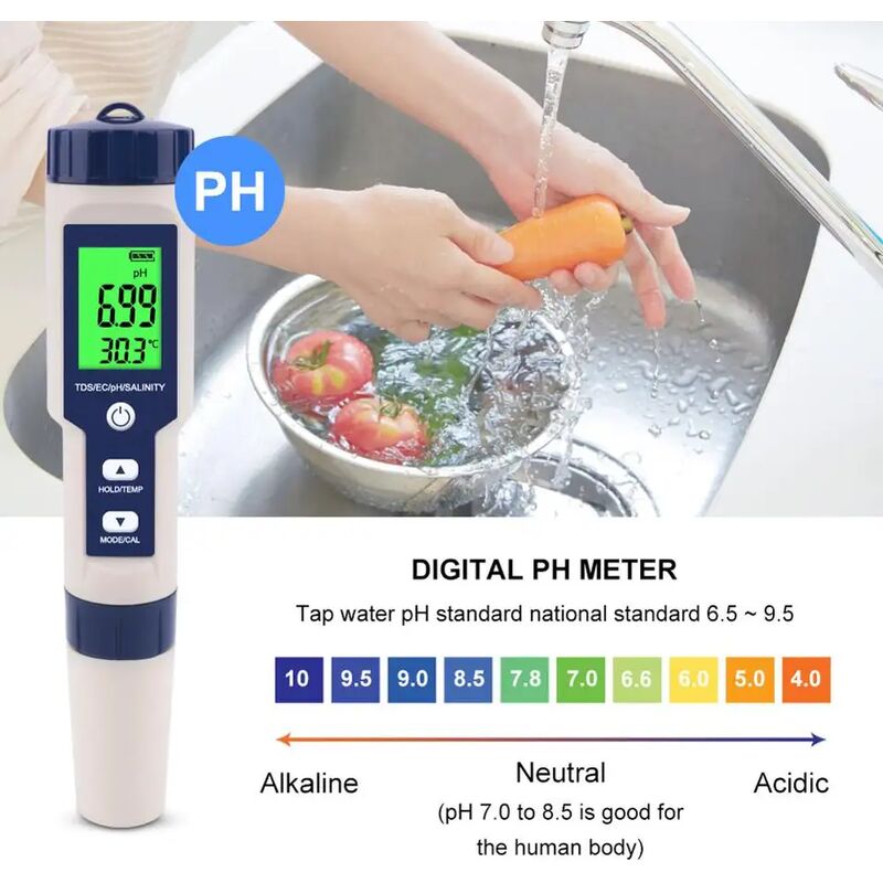 Testeur de PH 5 en 1, mini thermomètre, PH de l'eau, EC, sel, TDS, pour la maison, piscine
