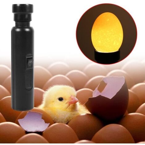 Testeur d\'oeufs Candler Incubateur lampe à oeufs poussin Super Bright Egg Candler Testeur couveuse LED lumière froide - BIG