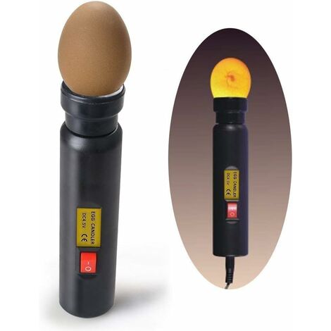 Testeur d'oeufs LED haute intensité pour surveiller l'incubateur d'oeufs couteurs de poulet