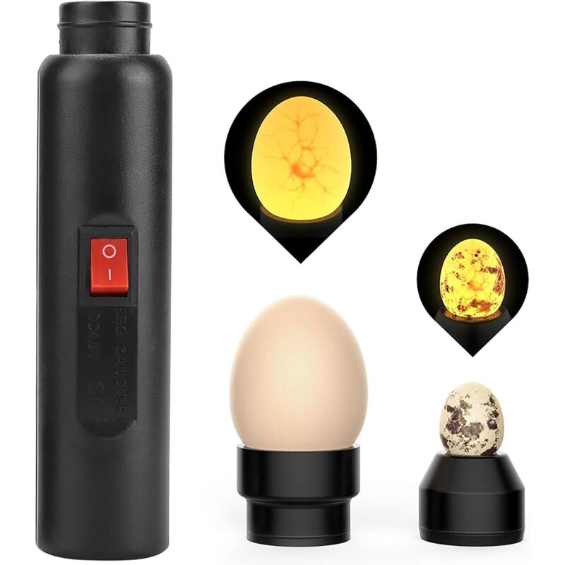 Testeur D'œufs Lumineux Cool LED Lumière Testeur de Mire D'œufs Lampe de Mirage D'œufs Inspection de Croissance pour L'éclosion Poulet Canard Caille