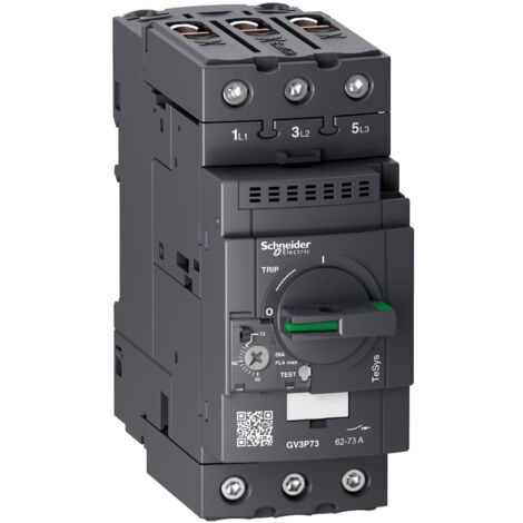 TeSys GV - disjoncteur moteur magnéto-thermique - 62 à 73A - 3P - Everlink