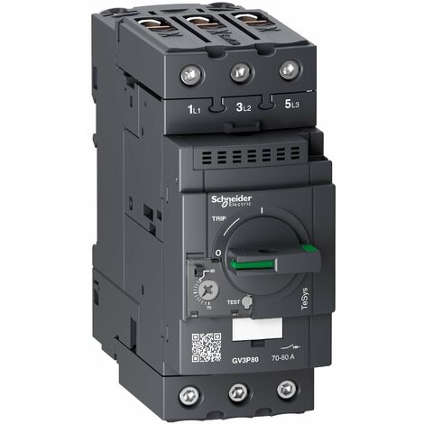 TeSys GV - disjoncteur moteur magnéto-thermique - 70 à 80A - 3P - Everlink