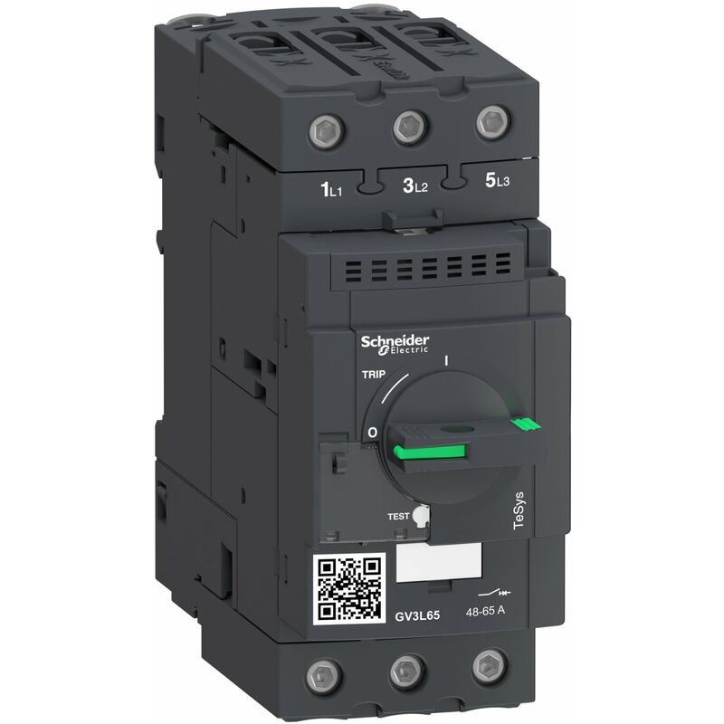 Schneider Electric - disjoncteur magnetique 65 - GV3L65