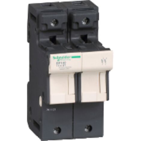 TeSys porte-fusible 2P 50A pour fusible 14x51mm SCHNEIDER DF142