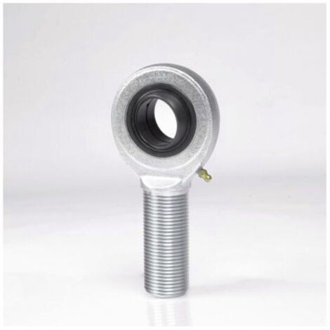 Tête articulée SALKAC6 M 9mm Ext 21mm Int 6mm SKF
