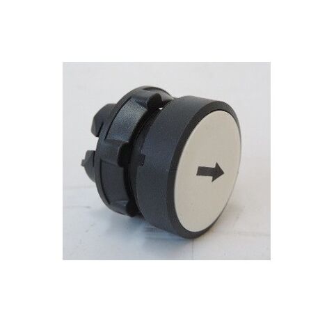 Tête de bouton poussoir i22 bl flèche haute Harmony SCHNEIDER ELECTRIC ZB5AA334TQ
