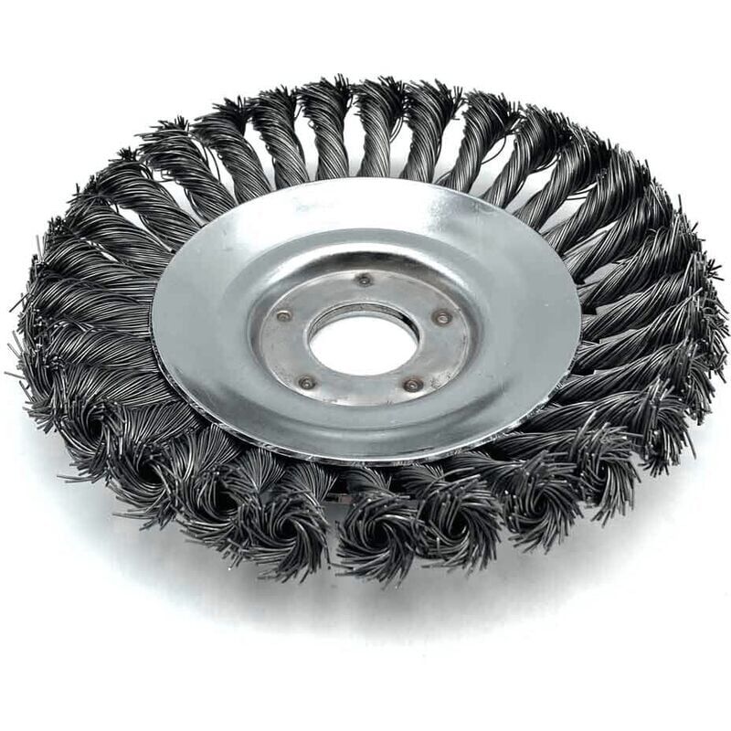 Ensoleille - Tête de brosse pour désherbage et démoussage,