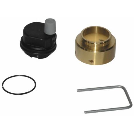 Tête de dégazeur (ensemble) de rechange pour Chaffoteaux 61304608