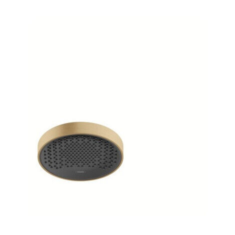 tête de douche 250 1jet bronze brossé