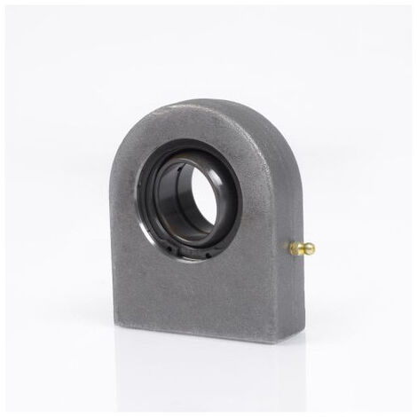 Tête de rotule GF20 DO 20mm INA