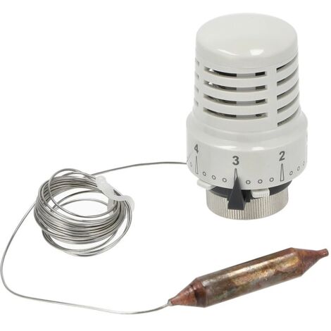 Tête thermostatique avec sonde à distance pour régulation à valeur fixe